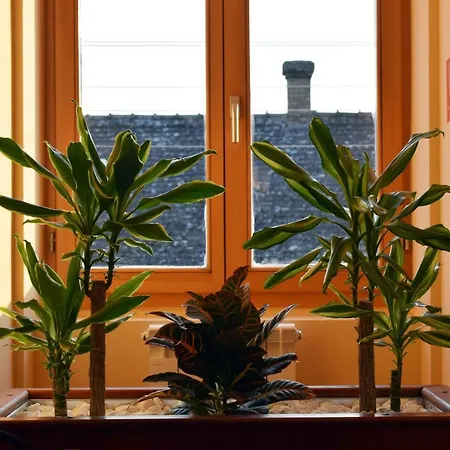 Hunting House * Turija