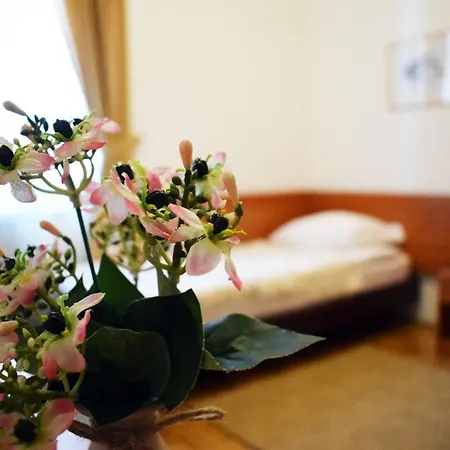 Hotel Hunting House Turija