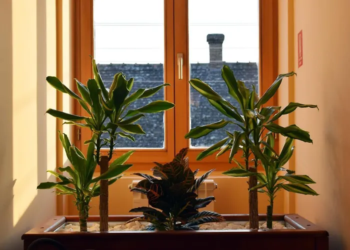 Hunting House * Turija