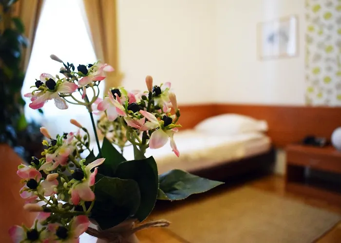 酒店 Hunting House Turija